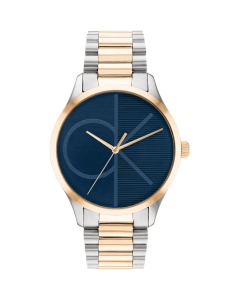 CK ICONIC 40mm 3H BLUE BICO. SS BRACE. 25200165