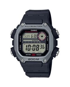 DW-291H-1AVEF