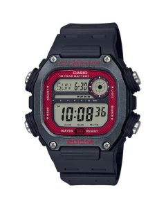 DW-291H-1BVEF