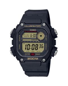 DW-291H-9AVEF