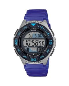 WS-1100H-2AVEF